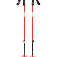 Traverse Ski Poles - Octane