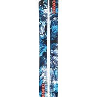 Bent 110 Skis 2025