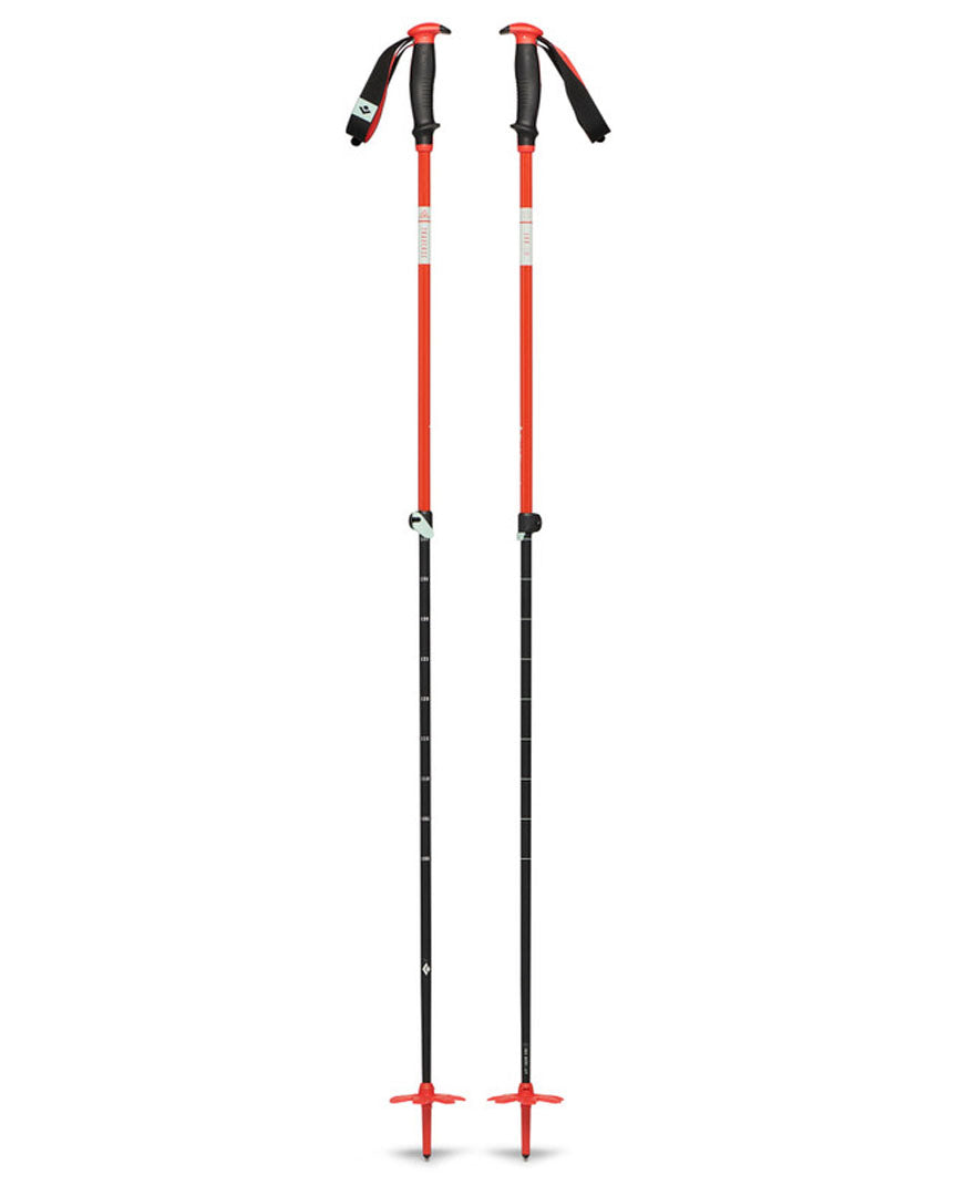 Traverse Ski Poles - Octane