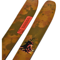 Skis Reckoner 110 2025