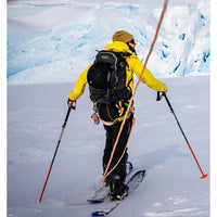 Batons splitboard Sceepter 4S Pole - Black/Orange